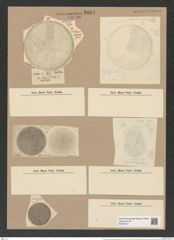 Coscinodiscus keutzingii var.glacialis Grun. (de-Toni-Nr.: Genus 202, Species 4915) Zeichnungen Sammlung Grunow Nr. 8684 (NHMW-BOT-W0378101)